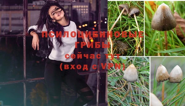 стаф Кинешма