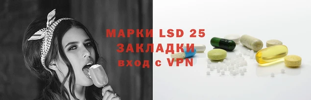 стаф Кинешма