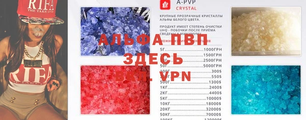 стаф Кинешма