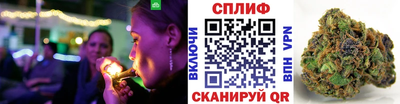 Конопля гибрид  Купить закладки  Аткарск 